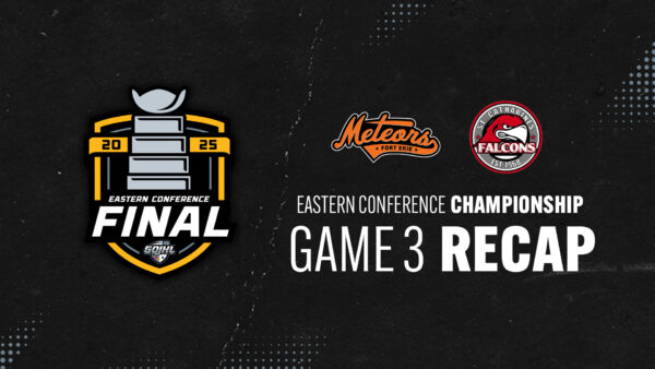 RECAP:  Game 3, Meteors 5 at Falcons 1