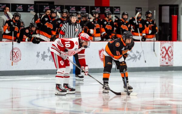 Meteors Set Bar High